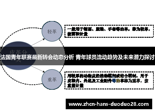 法国青年联赛最新转会动态分析 青年球员流动趋势及未来潜力探讨